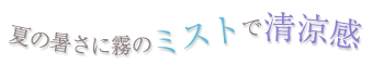 夏の暑さに霧のミストで清涼感